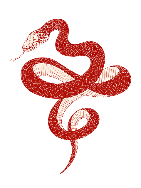 蛇年春节线条插画蛇纹理元素
