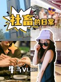 模板缩略图