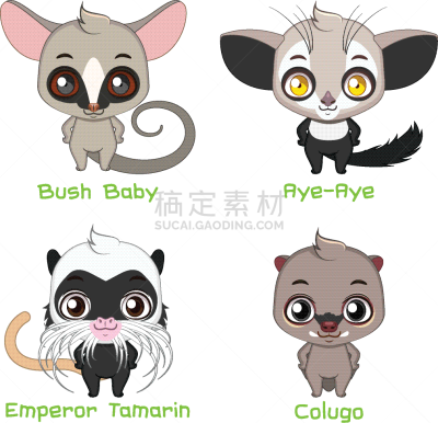动物,小的,可爱的,宠物,绢毛猴,自然,动物园,布置,树,设计