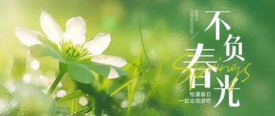 春天春日小清新绿色实景风磨砂玻璃公众号首图AIGC