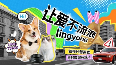 宠物救助宣传横版视频封面