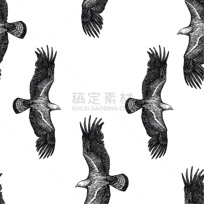 金雕,草图,背景,自然,野生动物,图像,壁纸,野外动物,鸟类,飞