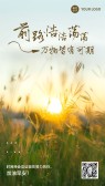 模板缩略图