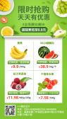 模板缩略图
