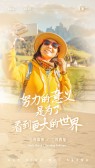 模板缩略图