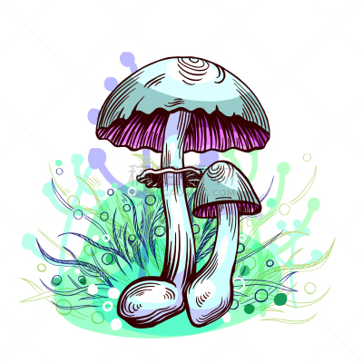 黄色,玷污的,蘑菇,白色,自然,有毒物质,季节,斑点,秋天,神奇蘑菇
