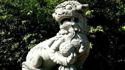 中华狮子