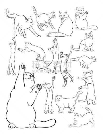 线条画,猫,可爱的,纯种犬,哺乳纲,小的,自然美,动物,品牌名称,坐