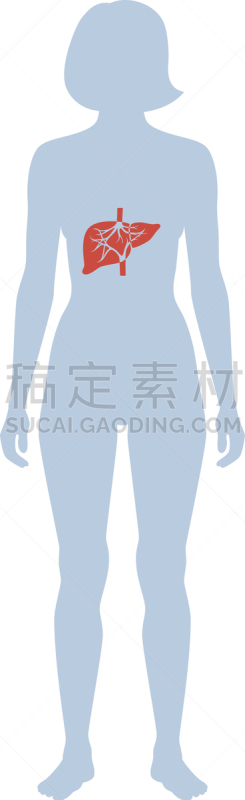 肝脏,生物学,健康保健,新陈代谢,胆汁,模板,女人,肝炎,品牌名称