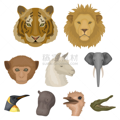 野外动物,猴子,分离着色,自然,鳄鱼,猫,狮子,象,鸟类,收集