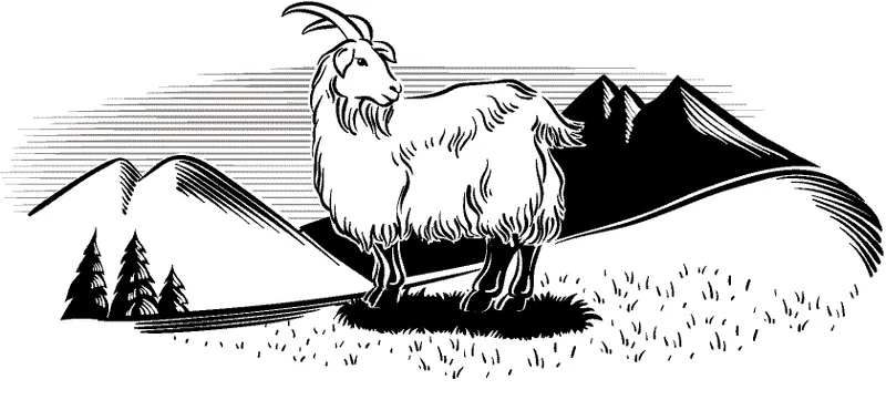 羊 羊图片 羊素材下载 稿定素材