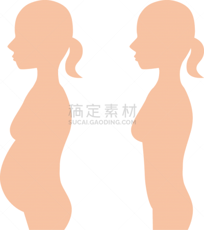 人,苗条,蠢人,肥胖病学,部分,中间部分,女人,绘画插图,半身像,日本