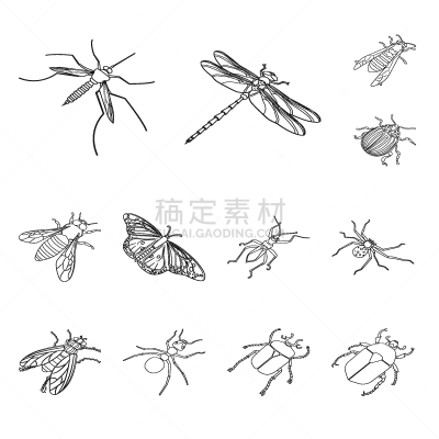 动物,昆虫,品牌名称,野生动物,大黄蜂,翅膀,甲虫,小的,蜂蜜,蚂蚁