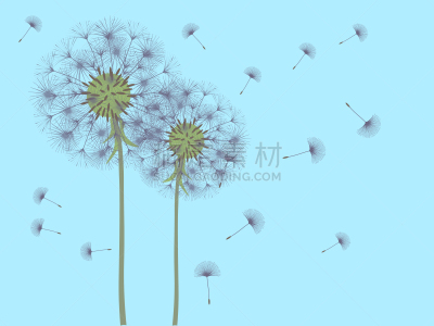 抽象,背景,分离着色,白色,过敏反应,清新,图像,设计,吹,装饰