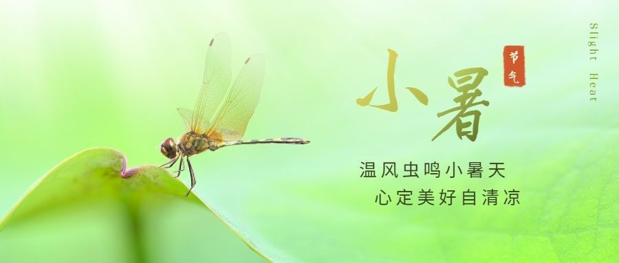 小暑节气祝福问候实景公众号首图预览效果