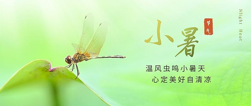 小暑节气祝福问候实景公众号首图