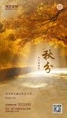 模板缩略图