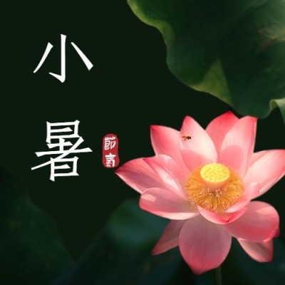 小暑节气祝福蜻蜓夏天公众号次图