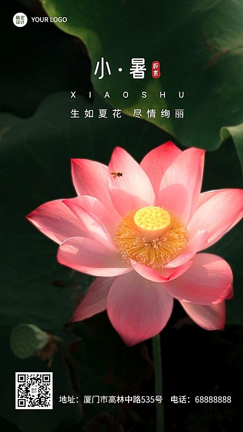 小暑节气祝福问候实景手机海报