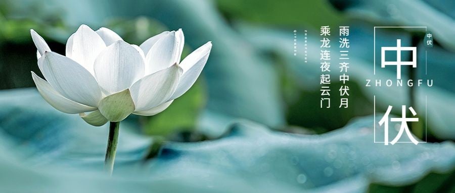 点击进入编辑 中伏祝福问候公众号首图预览效果