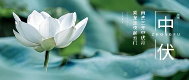中伏祝福问候公众号首图