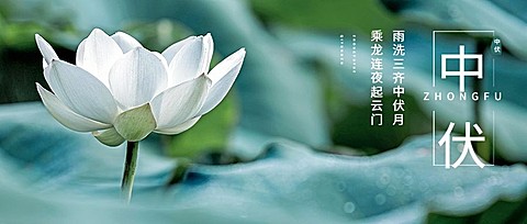 中伏祝福问候公众号首图