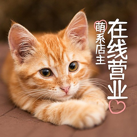 萌系店主在线营业方形海报