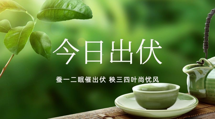 出伏夏季实景横版海报预览效果