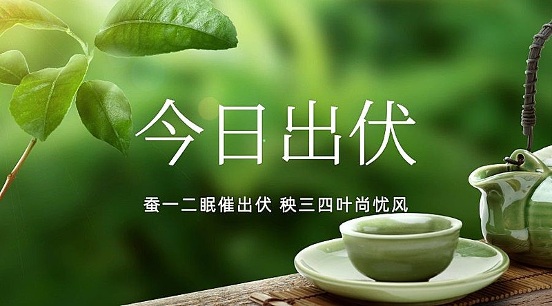 出伏夏季实景横版海报