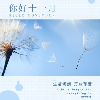 通用你好十一月月初问候简约方形海报