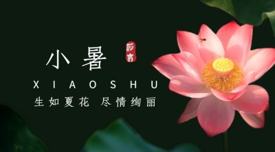 小暑节气祝福蜻蜓夏天横版海报