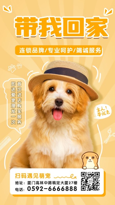 宠物门店介绍宣传海报