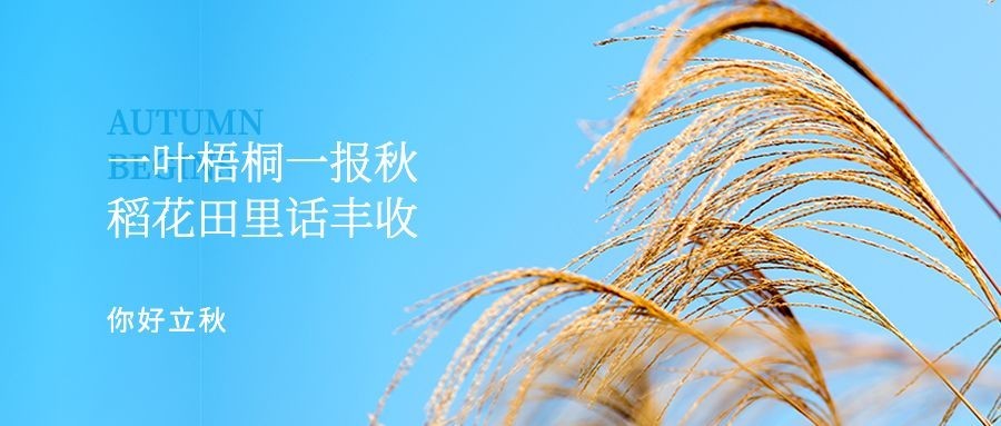 立秋节气祝福秋天实景公众号首图预览效果