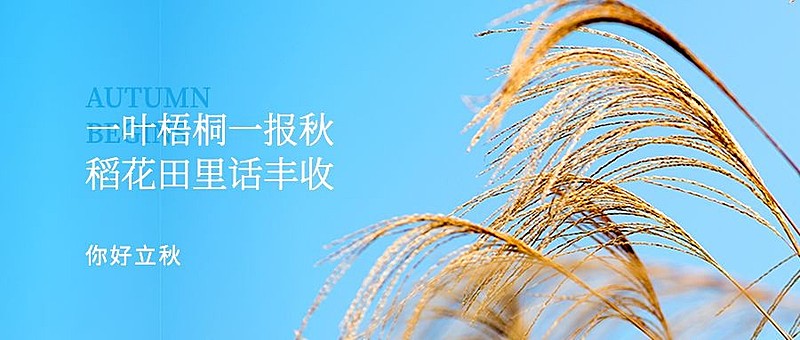 立秋节气祝福秋天实景公众号首图