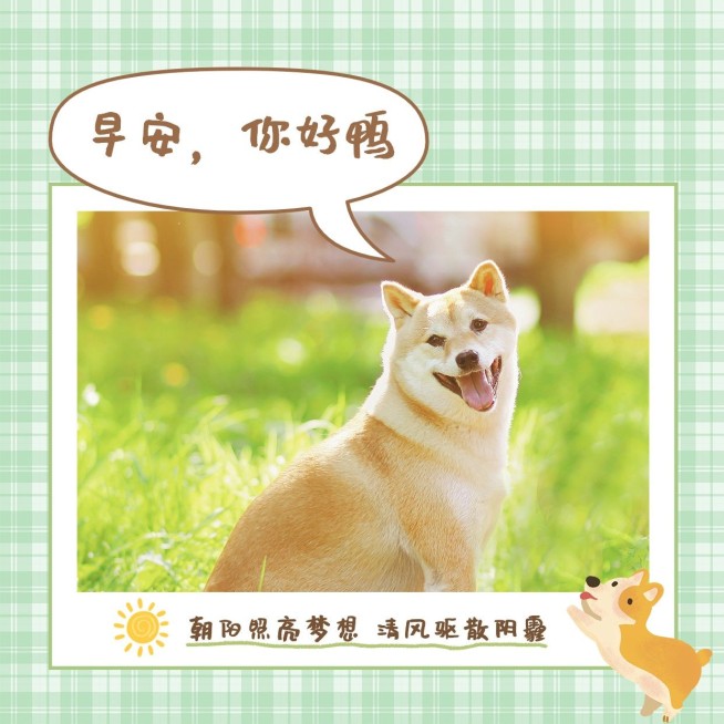 趣味可爱早安问候日签预览效果