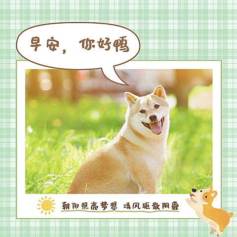 趣味可爱早安问候日签
