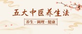 模板缩略图