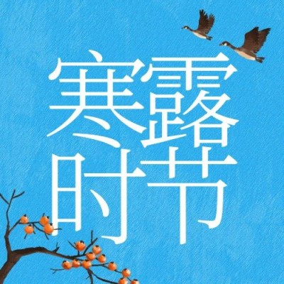 寒露节气祝福问候柿子水彩次图