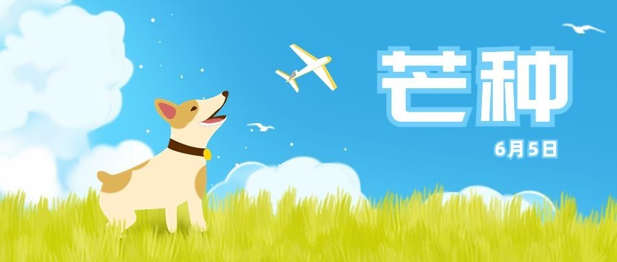 芒种节气祝福手机公众号首图预览效果