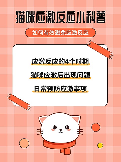宠物知识科普小红书封面