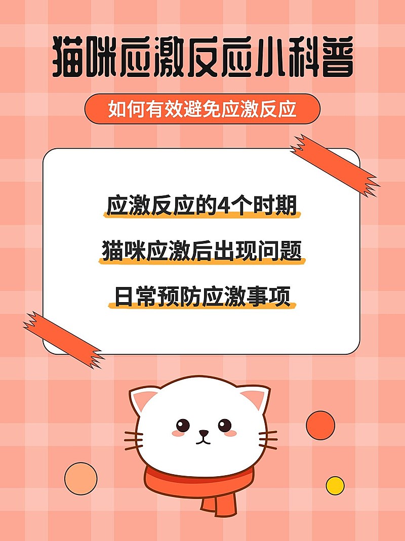 宠物知识科普小红书封面