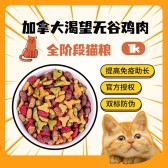 模板缩略图