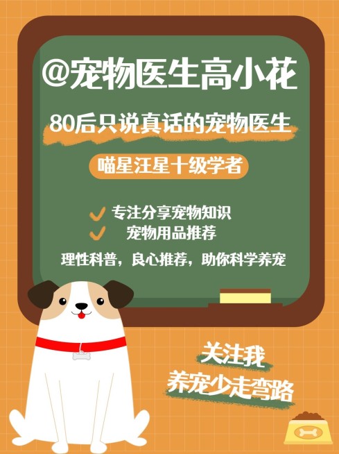 可爱手帐风萌宠博主频道自我介绍小红书配图预览效果