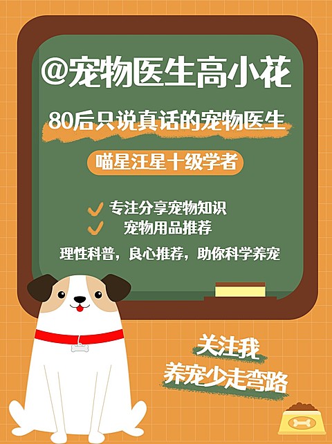 可爱手帐风萌宠博主频道自我介绍小红书配图