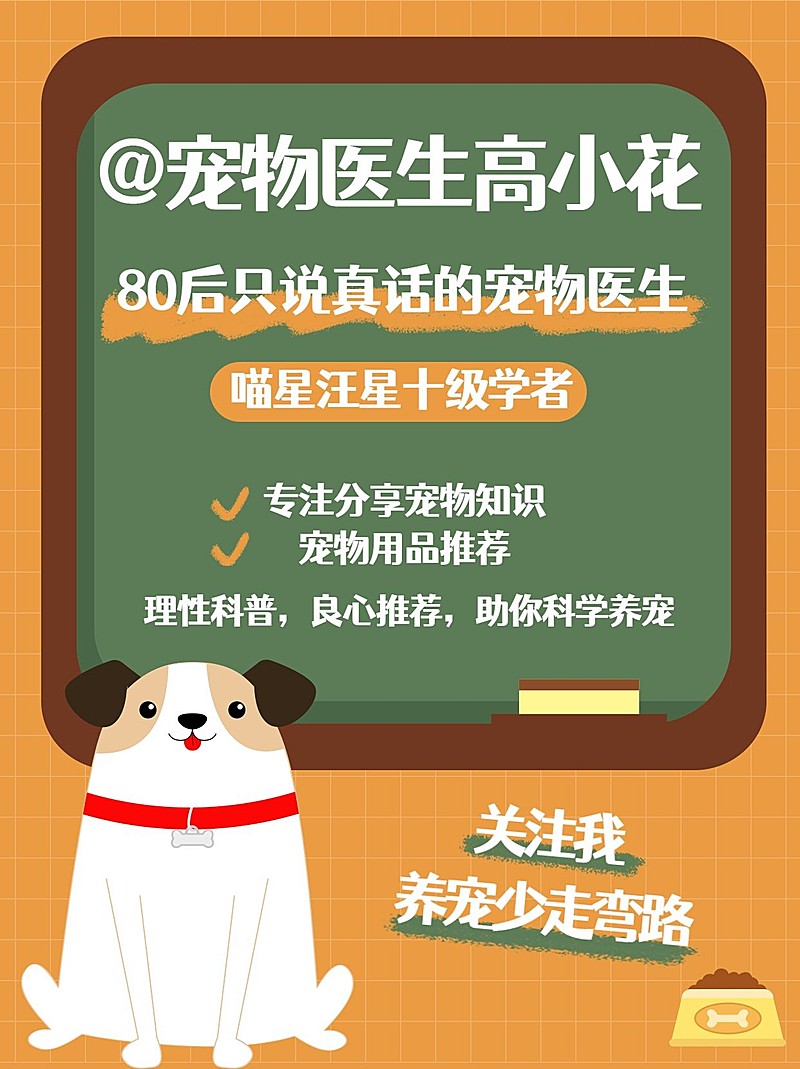 可爱手帐风萌宠博主频道自我介绍小红书配图