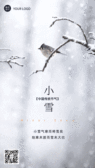 模板缩略图