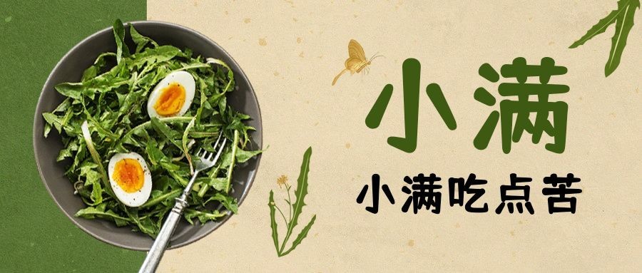 餐饮美食小满节气营销简约公众号首图预览效果