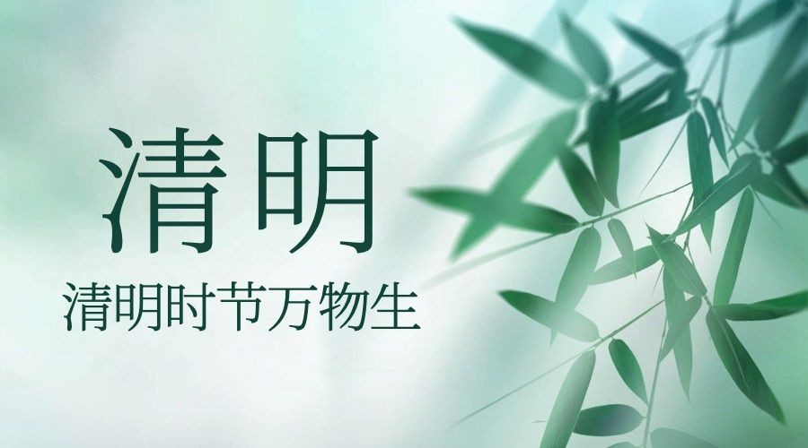 清明节追思春天杨柳手绘横版海报预览效果