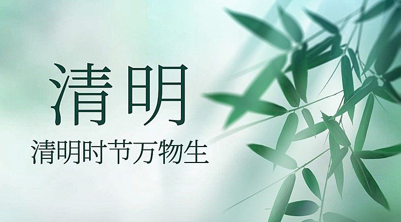 清明节追思春天杨柳手绘横版海报