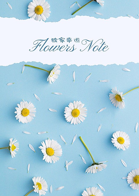 心灵鸡汤清新小说书籍封面